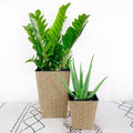 Catleza 2pc Smart Self-Watering Square Indoor Outdoor Hand Woven Wicker Planters