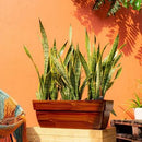 23" Wide Planter Smart Self-Watering Rectangular Indoor Outdoor Cherry Brown Finish - Catleza