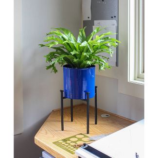 ACHLA Designs 8" Wide Cylinder Planter Pot Galvanized Steel with 4-Legged Black Wrought Iron Plant Stand French Blue