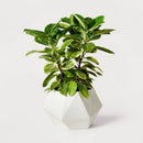 13" Wide Faceted Composite Geometric Indoor Outdoor Planter Pot - Hilton Carter