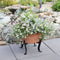 ACHLA Designs 16" Wide Small Indoor Outdoor Denise Wood Stone and Iron Planter Terra Cotta Finish