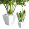 Catleza Set of 2 Square Cone Smart Self-Watering Indoor/Outdoor Planters