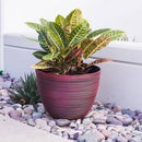 12" 3pk Indoor/Outdoor Nested Planter Pot Red - XBrand