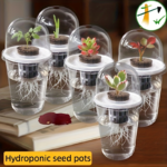 Clear Hydroponic Seed Net Pots 15 Pack – Breathable Plant Cups