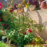 PVC-Coated Galvanized Wire Mesh – Chicken Coop & Garden Fence
