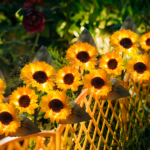 Solar Sunflower Garden Lights 2/4-Pack – IP65 Outdoor Decor