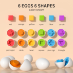 Toddler Easter Egg Color Matching Toy & Shape Sorter 6 Eggs