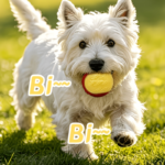 3-Pack Glow-in-the-Dark Squeaky Dog Ball Toys Bite-Resistant