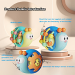Interactive Snail Musical Toy for Babies – Sensory & Crawling Toy