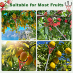 Fruit Picker Tool with Basket & Pole – Tree Fruit Harvest Grabber
