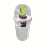 Clear Hydroponic Seed Net Pots 15 Pack – Breathable Plant Cups