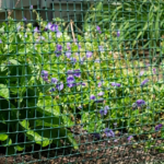 PVC-Coated Galvanized Wire Mesh – Chicken Coop & Garden Fence