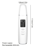 Wireless Electric Facial Cleansing Brush for Pores & Blackheads