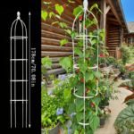 European Metal Plant Trellis Stand for Climbing Roses & Clematis