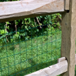 PVC-Coated Galvanized Wire Mesh – Chicken Coop & Garden Fence