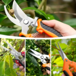 6-Piece Stainless Steel Garden Pruning Shears & Fruit Picker Set