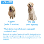 Automatic Ultrasonic Anti-Barking Device with Battery for Dogs